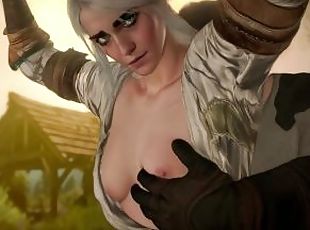 Witcher 3 Parody True Witcher Chapter 1 All Sex Scenes