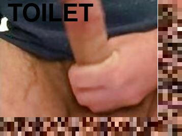 Beautiful DILF cock toilet seat masturbation.  My balls are full of cum I need a quick release