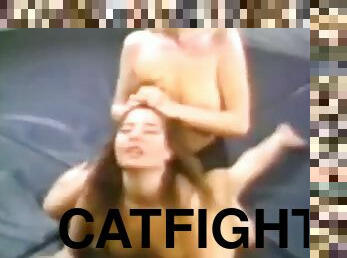 Catfight