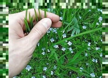 Cute flowers and my hand