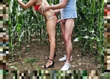 Sex na polu kukurydzy po dwuletniej przerwie