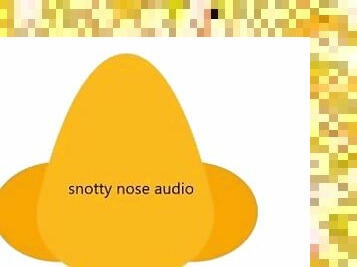 snotty nose audio