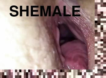 orgasmi, raskaana, pillu-pussy, shemale, vaimo, amatööri, pilluuntulo, pov, mälli, yhdyntä-penetrating