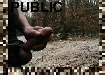 Public jerk off in the forest