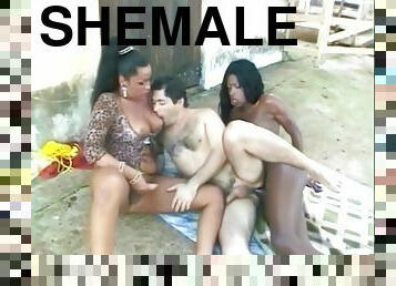 trio male, shemale, shemale