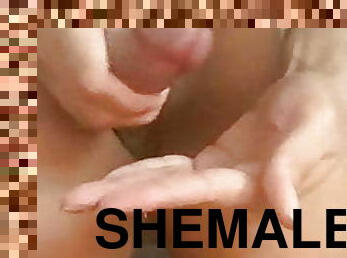 Shemale 309