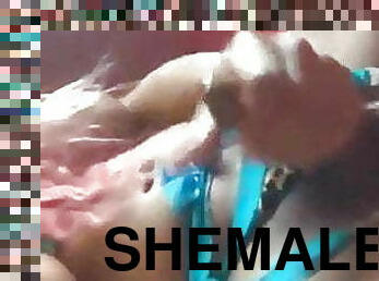 Shemale 321