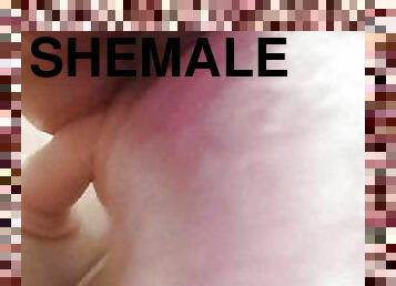 shemale, mėgėjai, analinis, suaugę, didelis-penis, pora, ladyboy