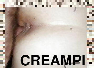 anjing, creampie, hubungan-sex