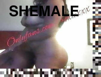 Shemale 495