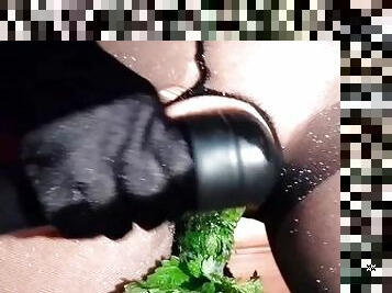 Lady Shock - Nettle Dildo