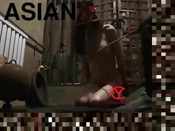 Full Collection Of 20 Days Of Asian Bdsm
