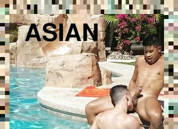 asian, menghisap-zakar, homoseksual, merangsang-dengan-tangan, deepthroat, kolam-renang, skrotum, zakar, meghisap