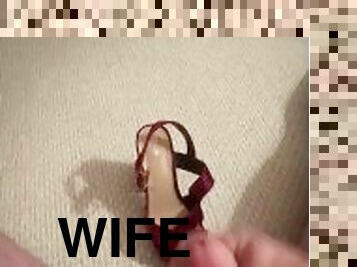 Covering Wife’s Sexy Shoe with Cum