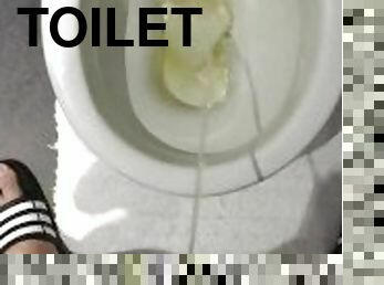 Toilet piss