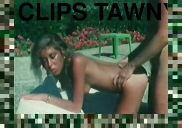 Clips Tawny Pearl
