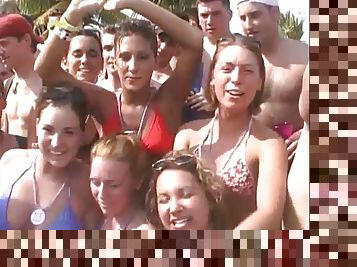 Horny crowd watch cutie flash big boobs at beach party