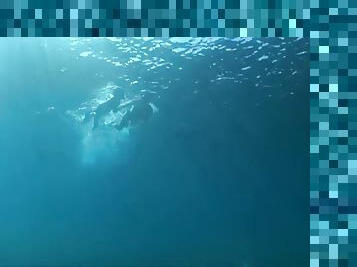 Incredible underwater sex