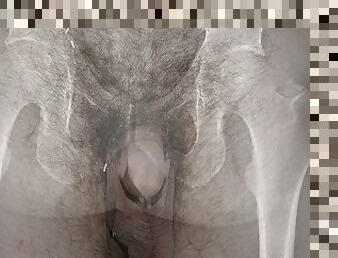 More than skin deep - an x-ray view of my dick!!