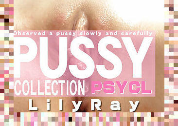 Pussy Collection observed A Pussy Slowly And Carefully Lily Ray - Lily Ray - Kin8tengoku