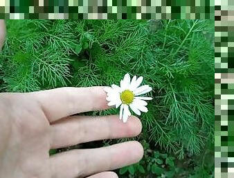 Cute Flower