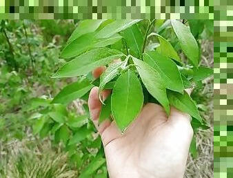 Masturbation for a cute young branch