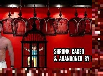Shrunk caged & abandoned by giant