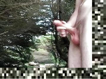 masturbating big cock in the forest