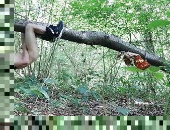 Ejaculation dans un arbre de la forêt