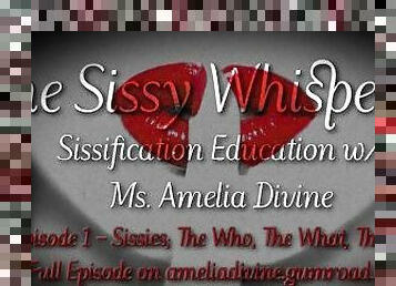 Sissy The Who, The What, The Why  The Sissy Whisperer Podcast